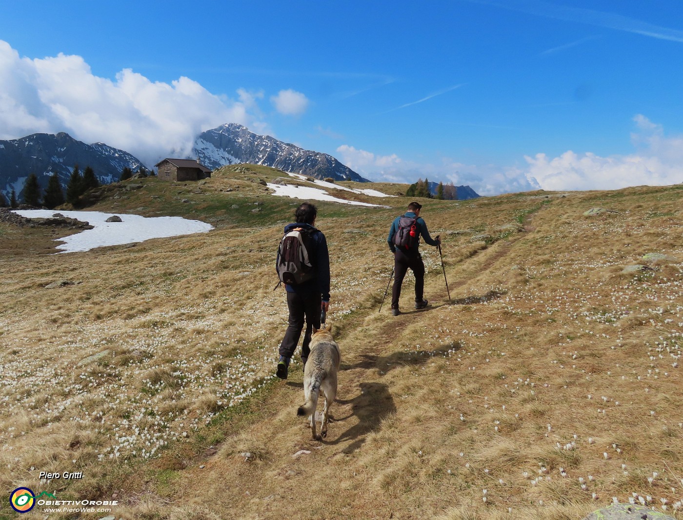 20 Sul sent. 217 alla Baita Campo (1878 m).JPG